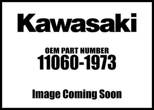 11060-1973