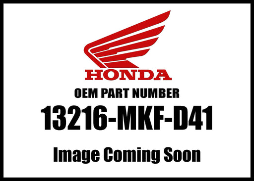13216-MKF-D41