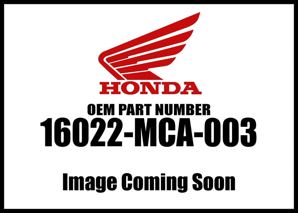 16022-MCA-003